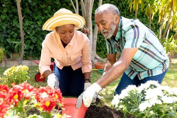 シニアアフリカ系アメリカ人のカップルは晴れた日に庭で時間を過ごし 花を植えます 隔離された封鎖における社会的距離と自己隔離 — ストック写真