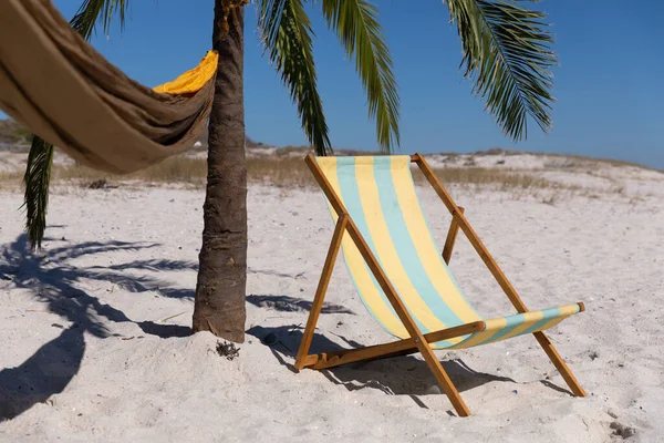 Magnifique Vue Sur Une Plage Avec Palmier Une Boutique Surf — Photo