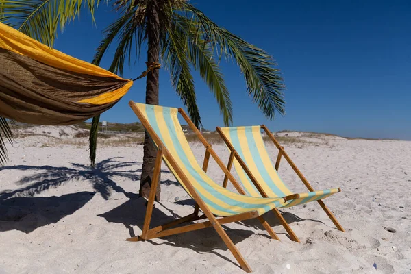 Magnificent View Beach Two Deck Chairs Palm Tree Hammock Tied — Stock Photo, Image