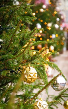Noel ağacı, çam dalları, koniler. Noel süsleri