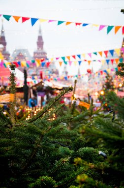 Noel ağacı, çam dalları, koniler. Noel süsleri. Kızıl Meydan