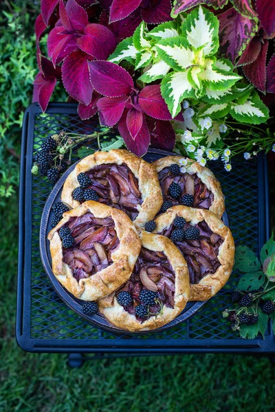 Tartas Caseras Pastel Abierto Con Ciruelas Moras Galletitas Imágenes De Stock Sin Royalties Gratis