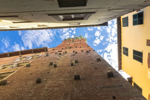 Torre Guinigi is one of the few remaining towers within the city — Stock Photo, Image
