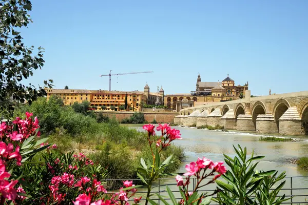 Romanische Brücke, Cordoba — Stockfoto