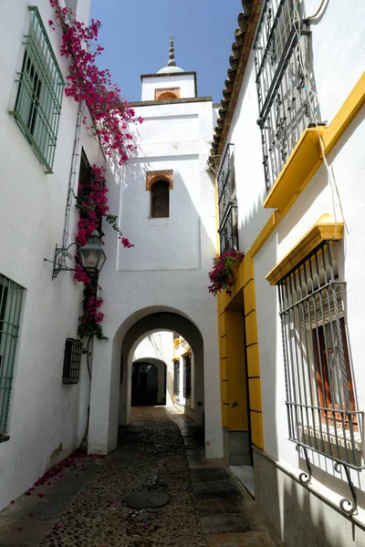 Street in the Cordoba — Stock Photo, Image