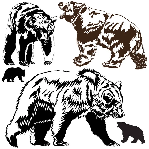 Silhuetas ursos castanhos — Vetor de Stock