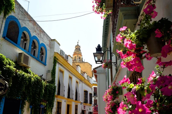 Street in Cordoba — Stock Photo, Image