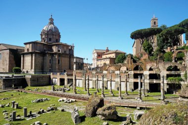 Roma forumu Roma 'da