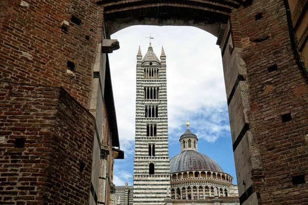 Dôme et clocher de la cathédrale de Sienne — Photo