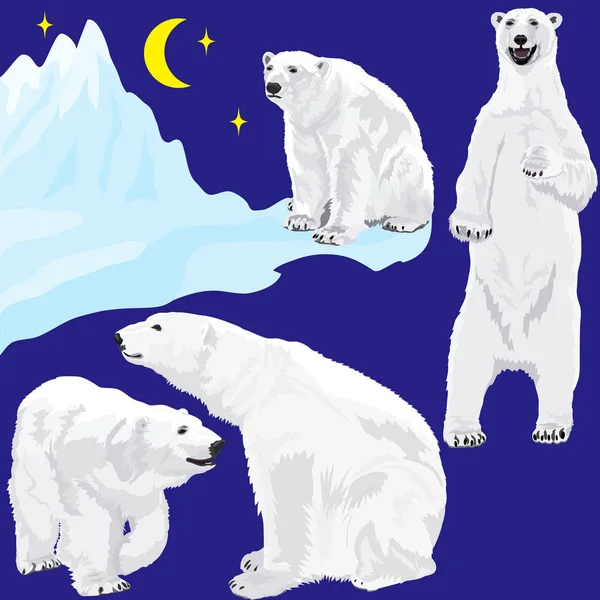 Eisbären bei Blau — Stockvektor