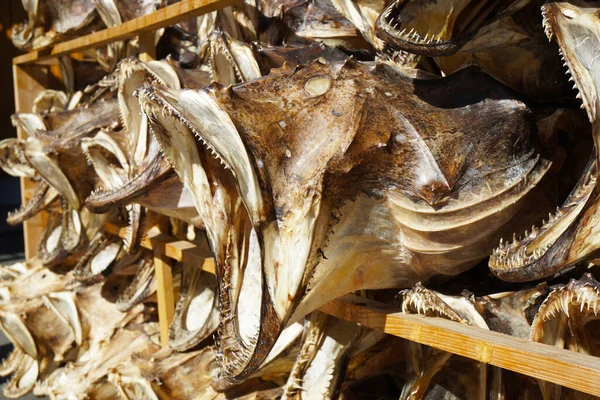 Dry fish heads — Stock Photo, Image