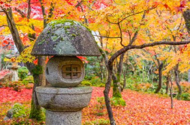 taş fener ve Kyoto, Japonya, yumuşak odak Enkoji tapınağında Sonbahar sezonu Japon bahçe güzel renkli görünümü