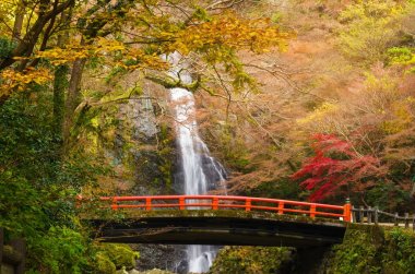 güzel Minoo şelale renkli sonbahar sezonu Minoo Park, Osaka, Japonya
