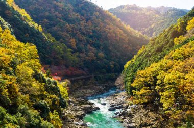 top view point of the river and forest in autumn season, beautiful fall colorful at Arashiyama, Kyoto, Japan clipart