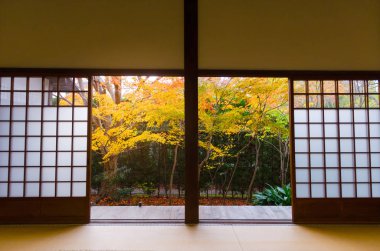 geleneksel Japon kağıt yana kayar ve tatami mat güzel renkli sonbahar yaprakları akçaağaç Bahçe, kış sezonunda Kyoto, Japonya görüntülemek için açık