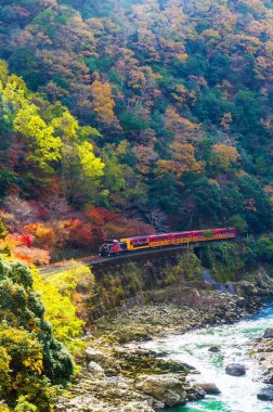 Dikey görüntü renkli sonbahar sezonu ile Sagano'da doğal demiryolu ya da romantik tren Köprüsü'nde güzel mountain view ve Arashiyama, Kyoyo, Japonya nehirde tekne