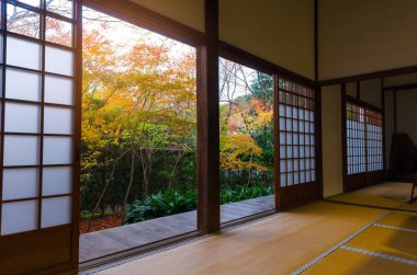 geleneksel Japon kağıt yana kayar ve tatami mat güzel renkli sonbahar yaprakları akçaağaç Bahçe, kış sezonunda Kyoto, Japonya görüntülemek için açık