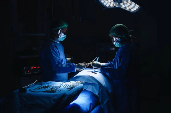 Médico Cirurgião Assistente Instrumento Cirúrgico Enviando Mão Trabalho Para Paciente — Fotografia de Stock