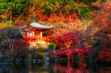 güzel manzara renkli akçaağaç Sonbahar sezonu, landmark Kyoto, Kansai, Japonya, manzara, doğa ve seyahat kavramı ile Recai-ji Tapınağı