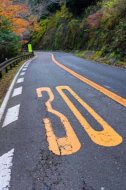 Numarası 30 (otuz) dağ, Osaka, Japonya, Japonya, ulaşım, seyahat, doğa, Simgesel Yapı ve peyzaj kavramı, sonbahar ormandaki yol yolda