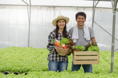 Asyalı genç çiftçi, gülümsüyor ve elinde organik hidroponik taze yeşil sebzeler sera bahçesi çocuk çiftliğinde ahşap kutu üretiyor.