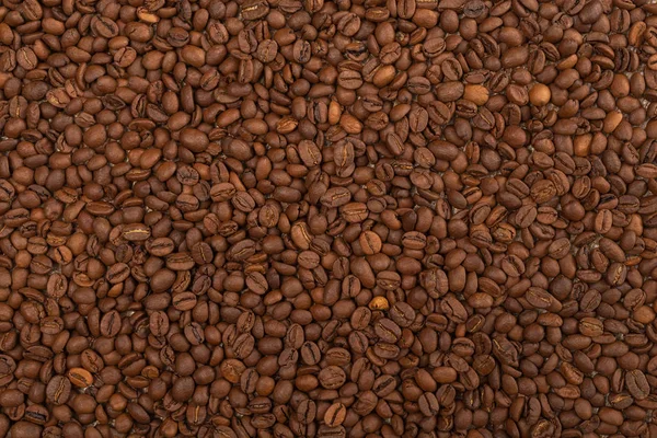 Kahve tanecikleri, açık kahve tanecikleri.