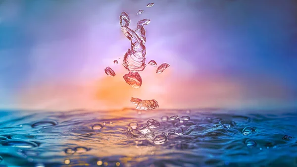 Человек Водой Прыгает Воду — стоковое фото