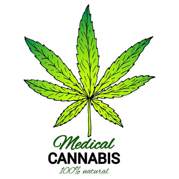 Illustratie van medicinale cannabis. Geschikt voor gebruik in het ontwerp van de verpakking, reclame, posters — Stockvector