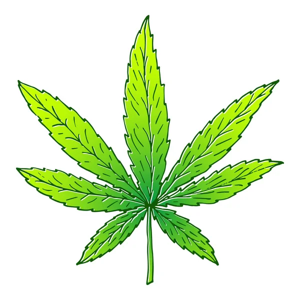 Εικονογράφηση φύλλα κάνναβης ή μαριχουάνας. Κατάλληλο για χρήση στο σχεδιασμό της συσκευασίας, διαφημίσεις, αφίσες — Διανυσματικό Αρχείο