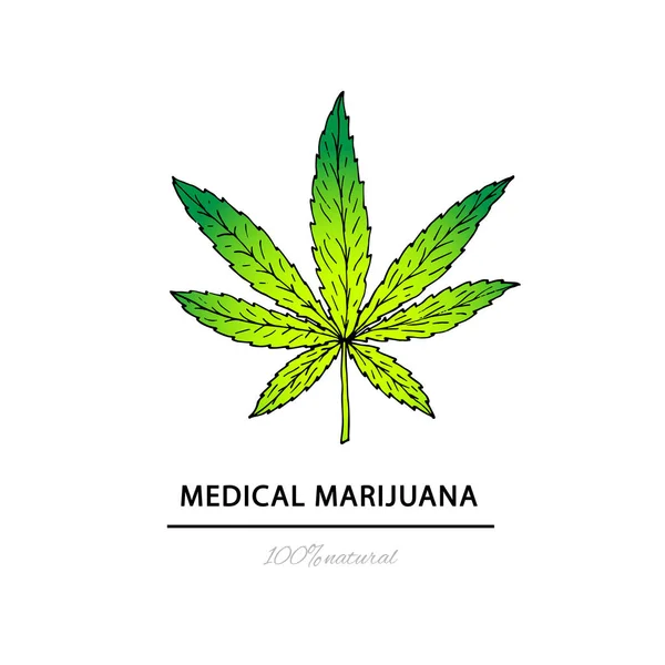 Ilustración de marihuana medicinal. Adecuado para su uso en el desi — Vector de stock