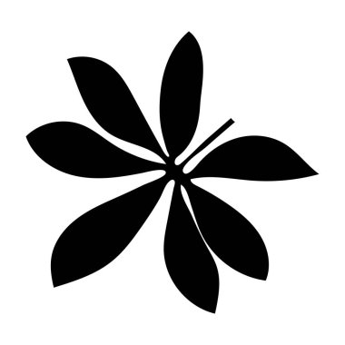 Dekorasyon tasarımı için beyaz arka planda siyah tropikal yaprak. Yaprak simgesi. Palmiye ağacı silueti. Vektör silueti çizimi izole edildi. Egzotik orman duvar kağıdı. Vektör illüstrasyon doğa arkaplanı.