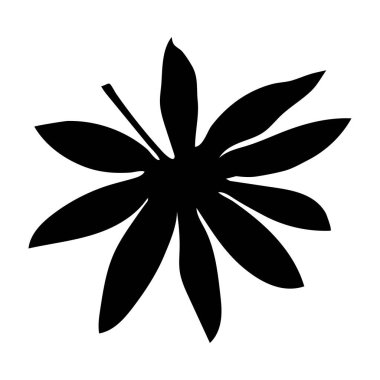 Dekorasyon tasarımı için beyaz arka planda siyah tropikal yaprak. Yaprak simgesi. Palmiye ağacı silueti. Vektör silueti çizimi izole edildi. Egzotik orman duvar kağıdı. Vektör illüstrasyon doğa arkaplanı.