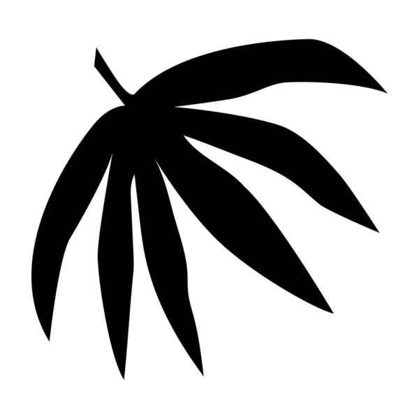 Folha tropical preta no fundo branco para design de decoração. Ícone de folhas. Sílhueta de palmeira. Isolamento da silhueta vetorial. Papel de parede exótico da selva. Vetor ilustração natureza fundo . —  Vetores de Stock