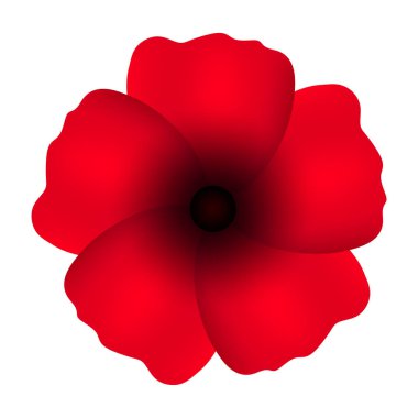 Klasik kırmızı haşhaş, her amaçla harika bir tasarım. Renkli doğa geçmişi. Dekoratif çiçek çizimi. Tasarım elemanı. Klasik vektör çizimi. Gelincik kırmızısı. Yaz bahçesi, çiçek..