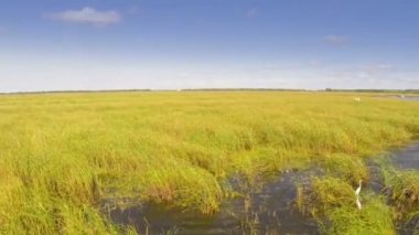 Danube delta sulak, havadan görünümü