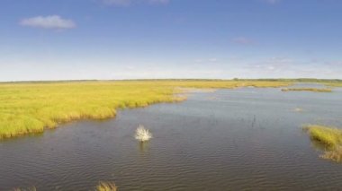Danube delta sulak, havadan görünümü