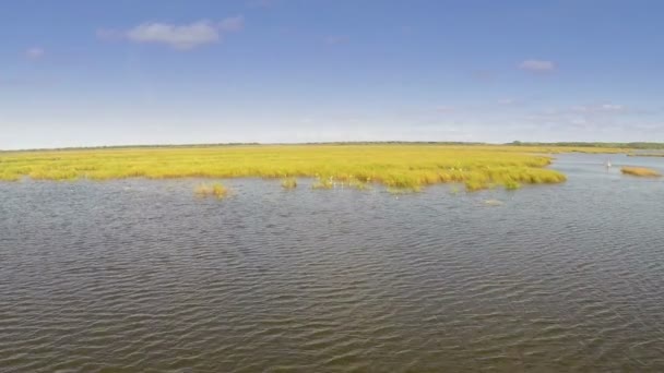 Дельта Дуная водно-болотные угодья, вид с воздуха — стоковое видео