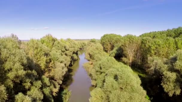 Donaudelta bewaldete Feuchtgebiete, Luftaufnahme — Stockvideo