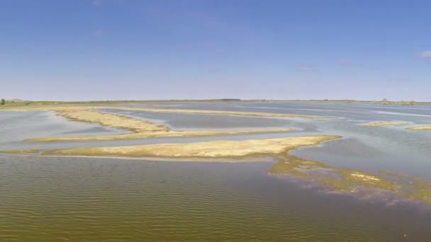 Zones humides du delta du Danube, vue aérienne — Video