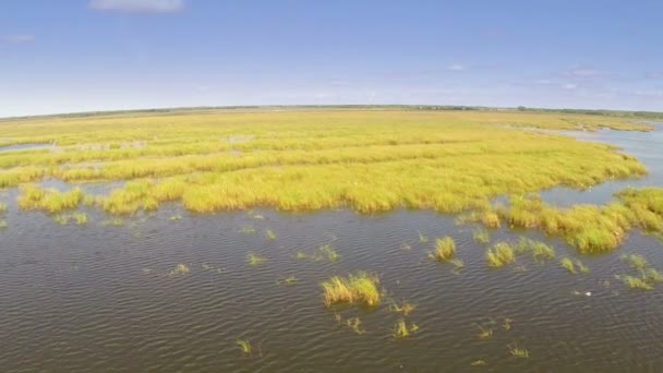 Дельта Дуная водно-болотные угодья, вид с воздуха — стоковое видео