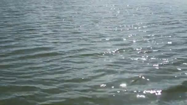 Water surface and sun reflection, in motion — Stock Video