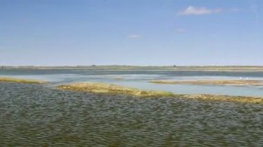 Danube delta sulak hareket