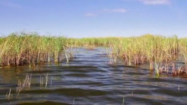 Danube delta sulak hareket