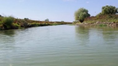 Danube delta sulak hareket