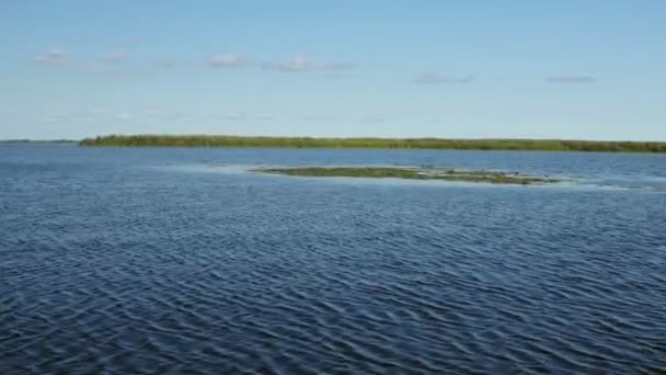 Humedales del delta del Danubio en movimiento — Vídeo de stock