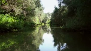 Tuna Deltası sulak hareket ormanlık