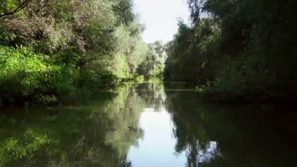 Donaudelta bewaldete Feuchtgebiete in Bewegung — Stockvideo