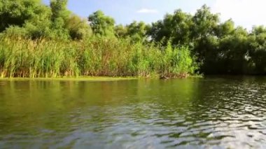 Danube delta sulak hareket