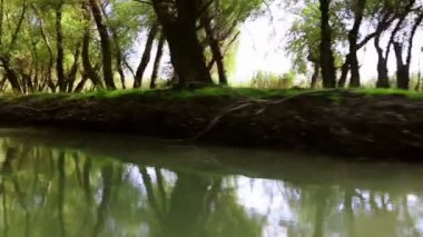 Tuna Deltası sulak hareket ormanlık