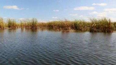 Danube delta sulak hareket